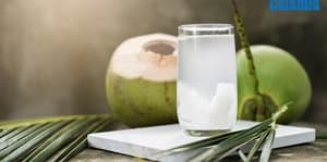 Agua de Coco fuente de nutrientes